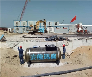 港珠澳大橋（東西人造... 